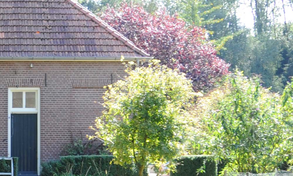 Vorden landschapstuin foto