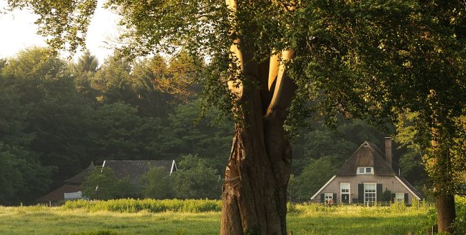 landschap Jaap Luijendijk Warnsveld Jaap Luijendijk Warnsveld
